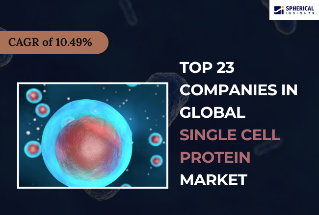 ingle Cell Protein Market 