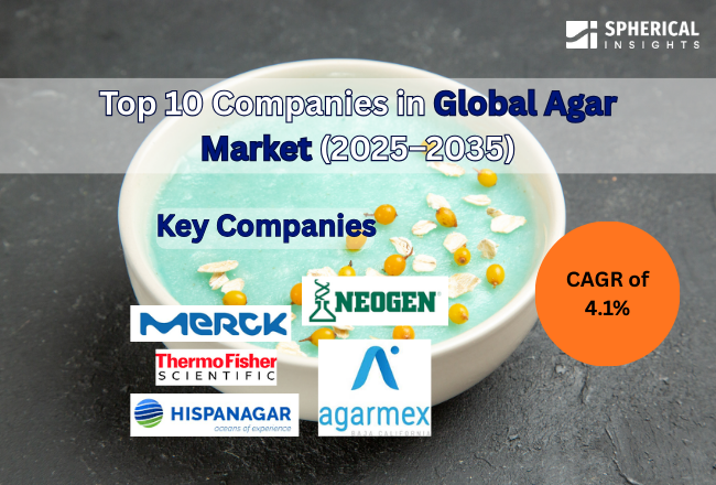 Global Agar Market
