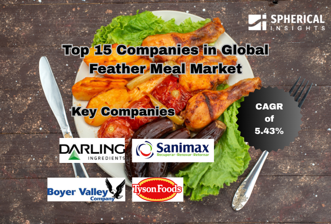 Top 15 Companies in Global Feather Meal Market