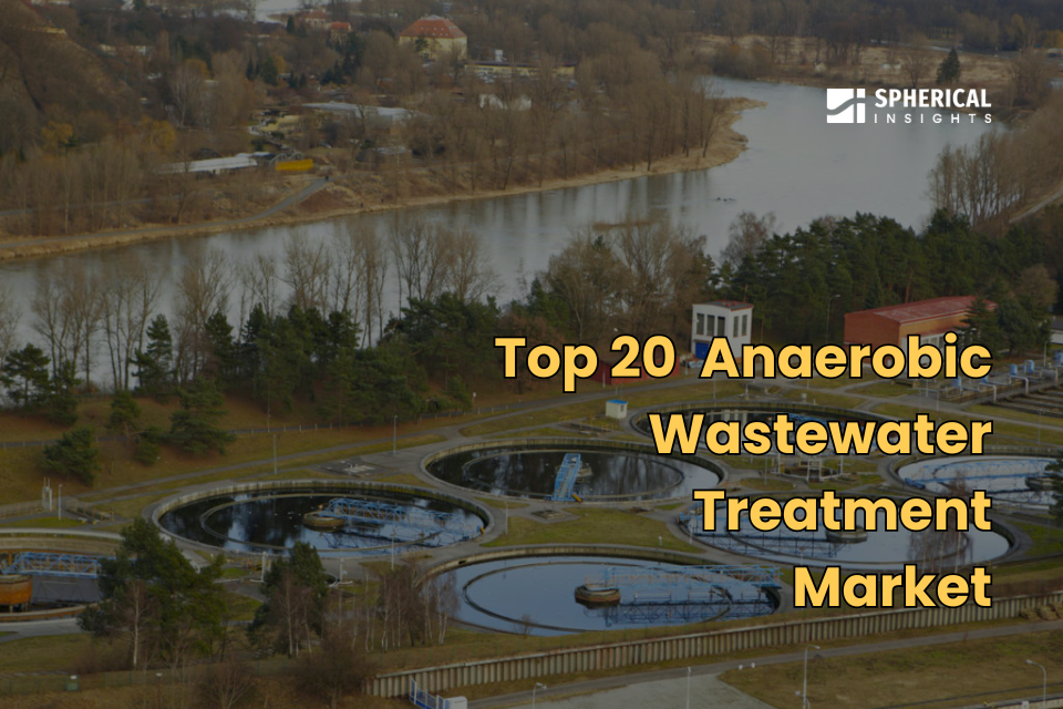 Anaerobic Wastewater Treatment 