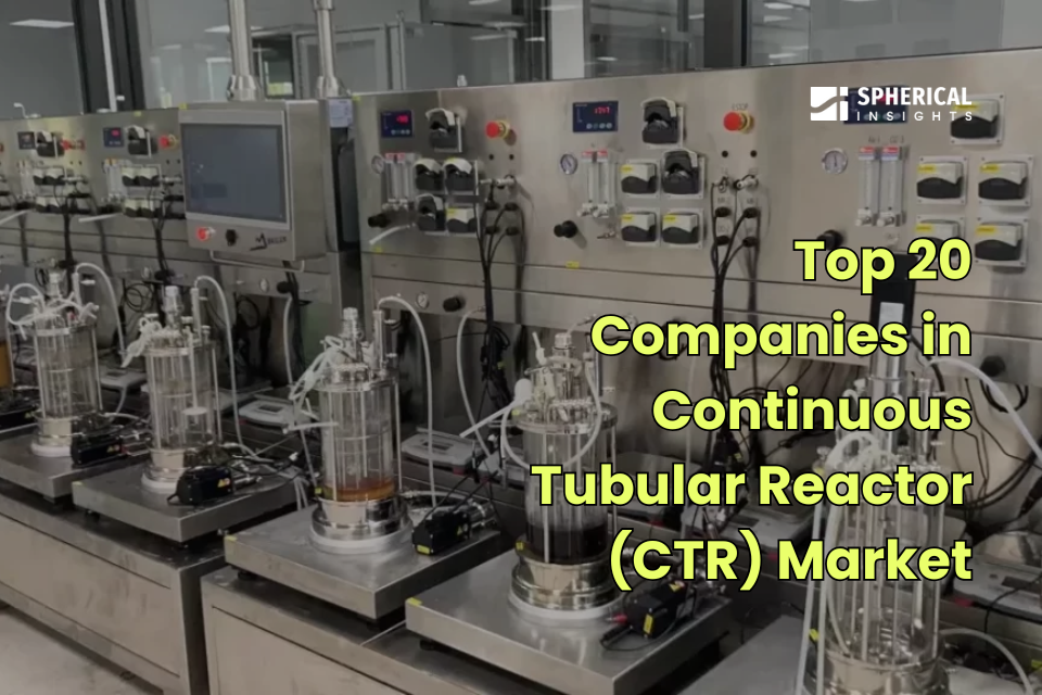 Continuous Tubular Reactor