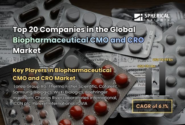 Biopharmaceutical CMO and CRO Market
