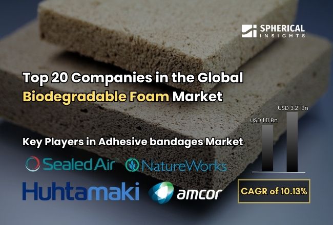 Biodegradable Foam Market 
