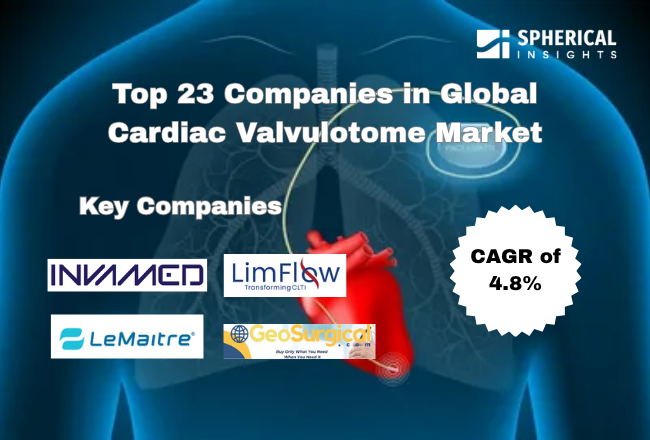Top 23 Companies in Global Cardiac Valvulotome Market