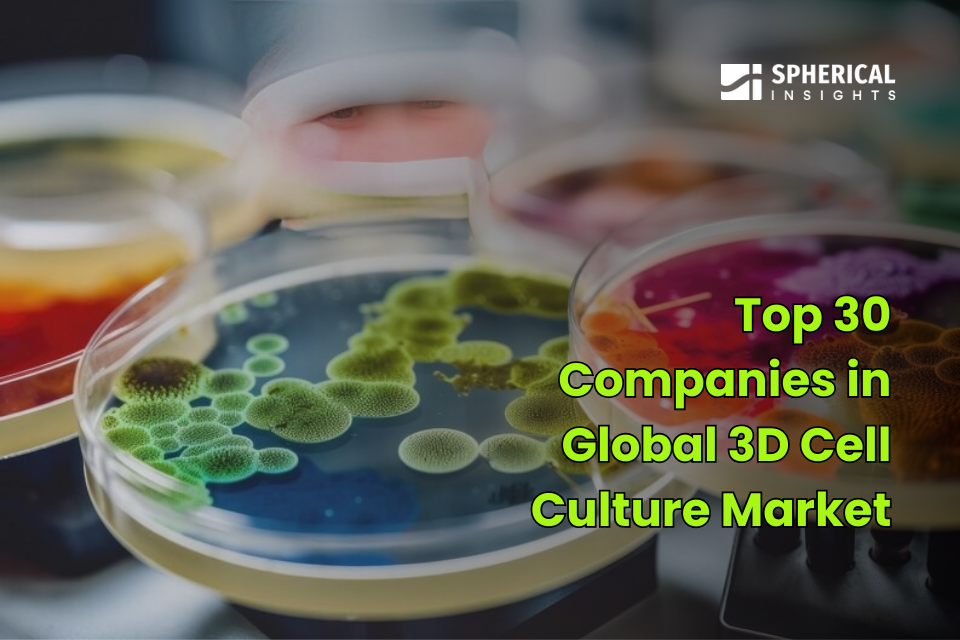 3D Cell Culture