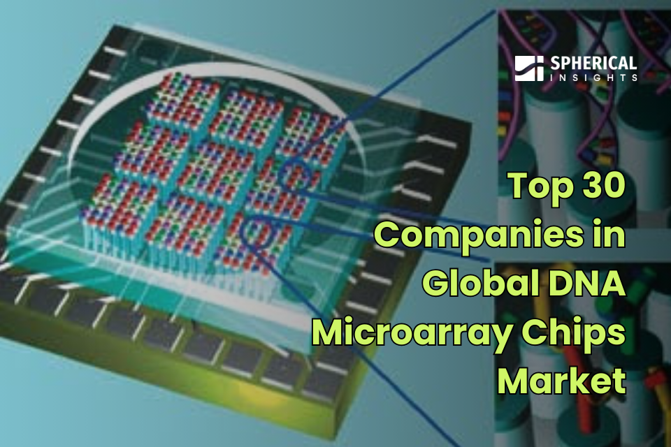 DNA Microarray Chips Market