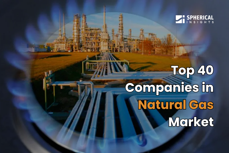 Natural Gas Market