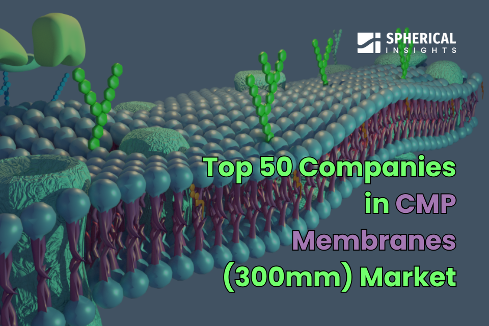 CMP Membranes