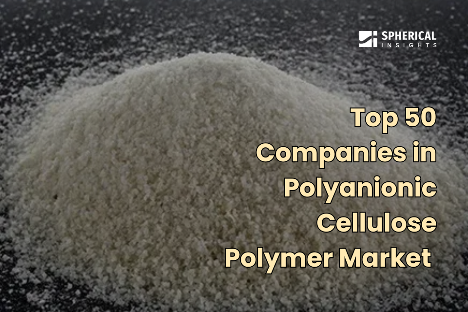 Polyanionic Cellulose Polymer Market