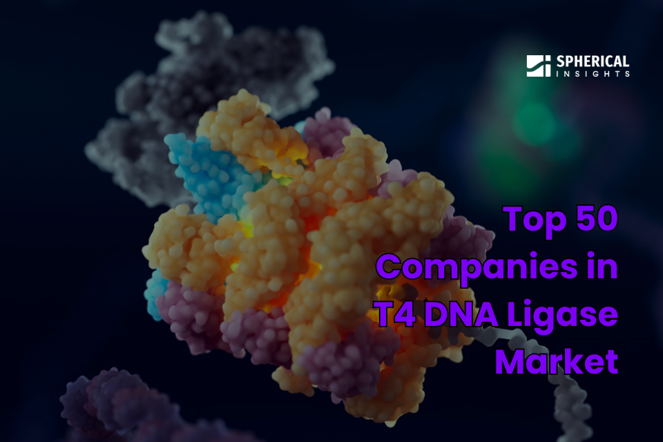 T4 DNA Ligase