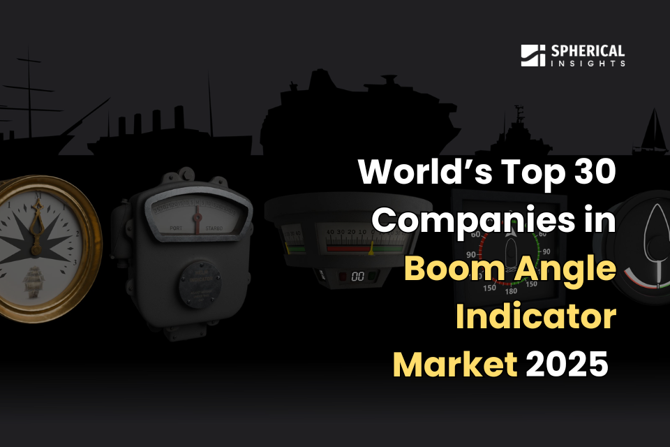 Boom Angle Indicator Market