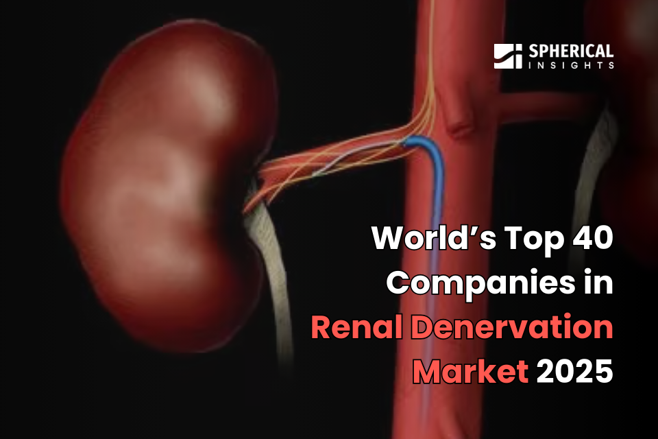 Renal Denervation