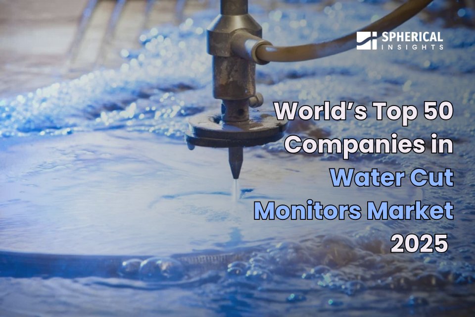 Global Water Cut Monitors Market