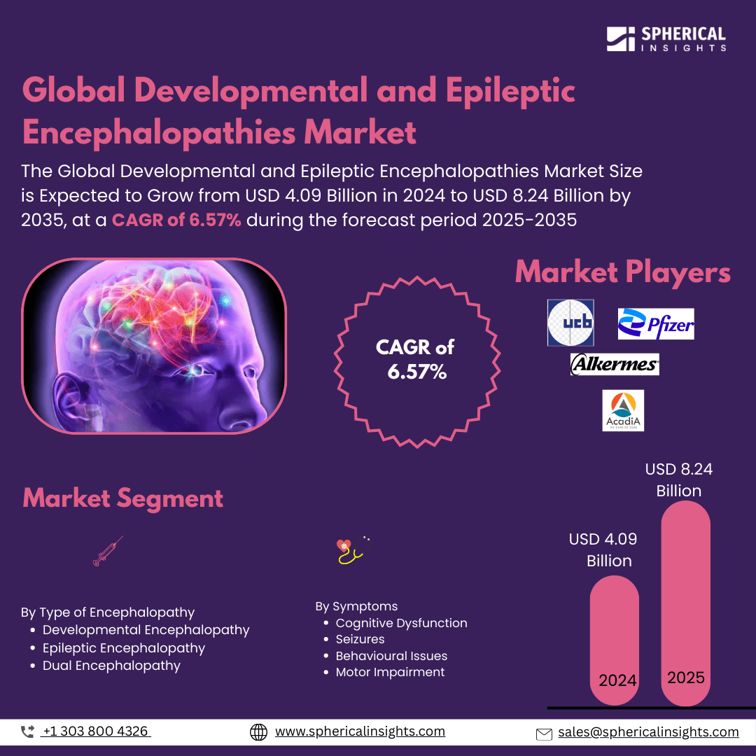 Global Developmental and Epileptic Encephalopathies Market Size To Exceed  USD 8.24 Billion by 2035 | CAGR of 6.57% : Industry Report