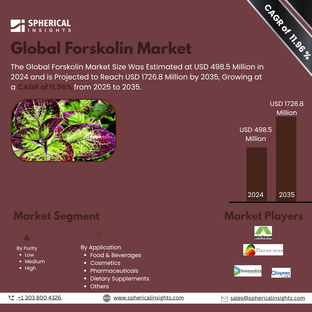 Global Forskolin Market Size To Exceed USD 1726.8 Million by 2035 | CAGR of 11.96% : Market Study Report