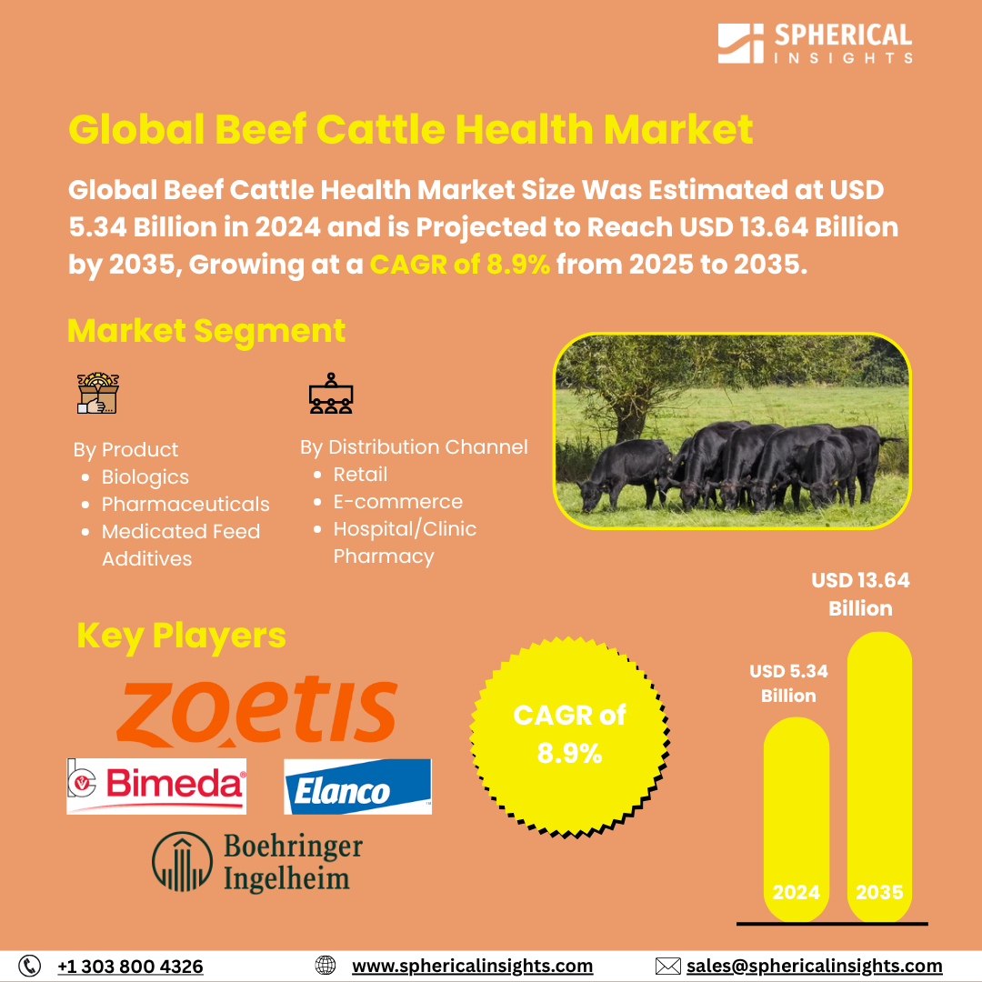 Global Beef Cattle Health Market Size To Exceed USD 13.64 Billion by 2035 | CAGR of 8.9%: Market Study Report
