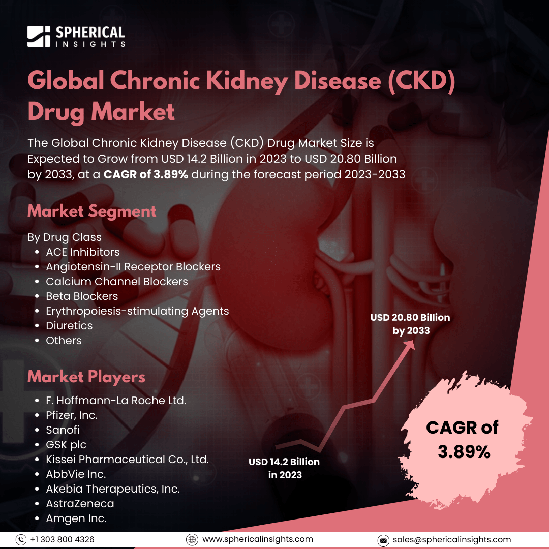 Global Chronic Kidney Disease (CKD) Drug Market Size to Exceed USD 20.80 Billion by 2033: Market Statistics Report