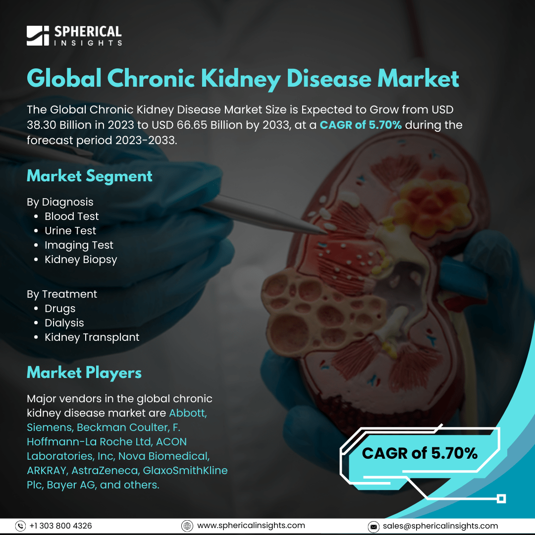Global Chronic Kidney Disease Market Size to Exceed USD 66.65 Billion by 2033: Forecast Analysis Report