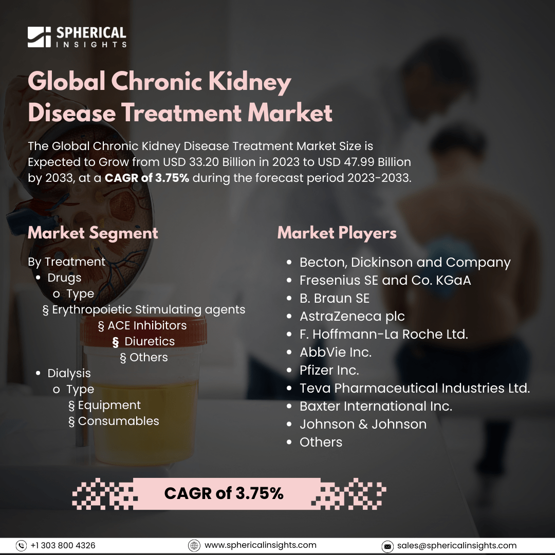 Global Chronic Kidney Disease Treatment Market Size to Exceed USD 47.99 Billion by 2033: Market Insight Report  	