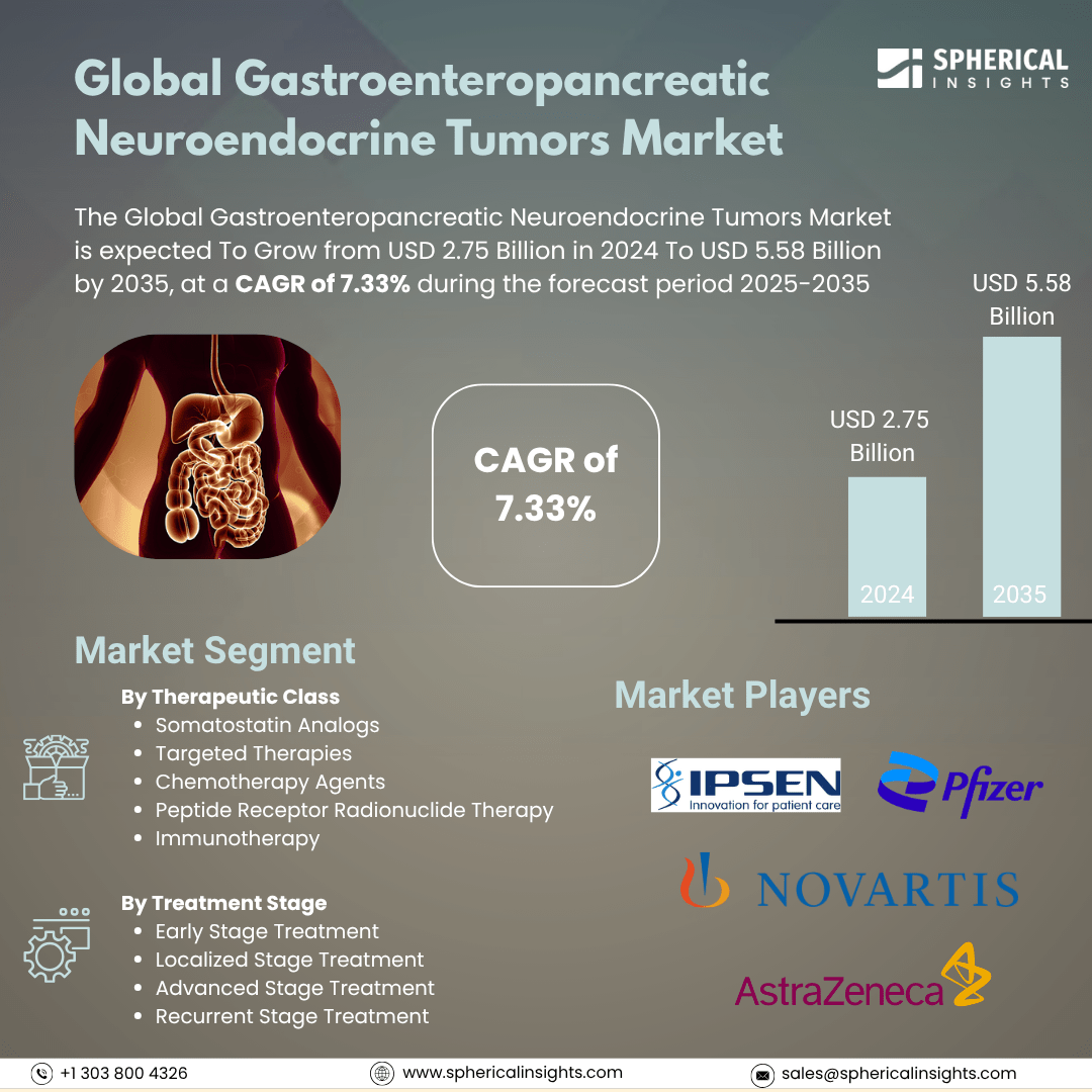 Global Gastroenteropancreatic Neuroendocrine Tumors Market Size To Exeed USD 5.58 Billion by 2035 | CAGR of 7.33% : Market Statistics Report