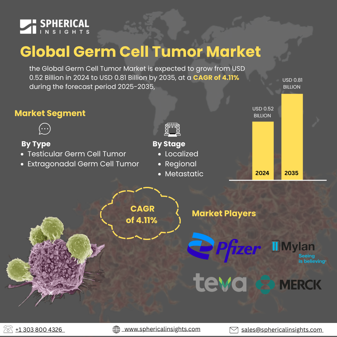 Global Germ Cell Tumor Market Size To Exceed USD 0.81 Billion by 2035 | CAGR of 4.11%  :  Market Analysis Report 