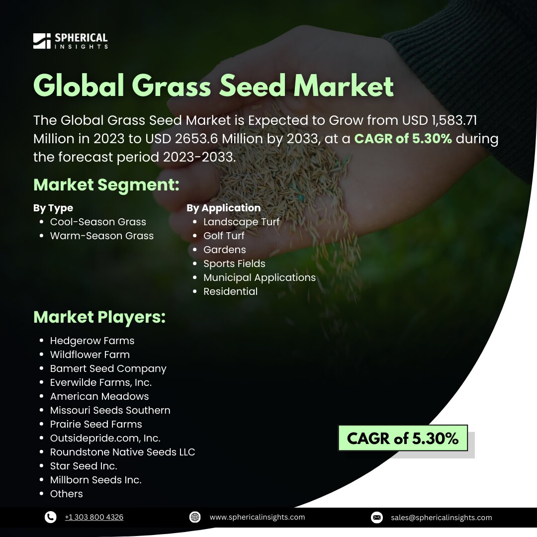 Global Grass Seed Market Size to Exceed USD 2653.6 Million by 2033: Forecast Analysis Report