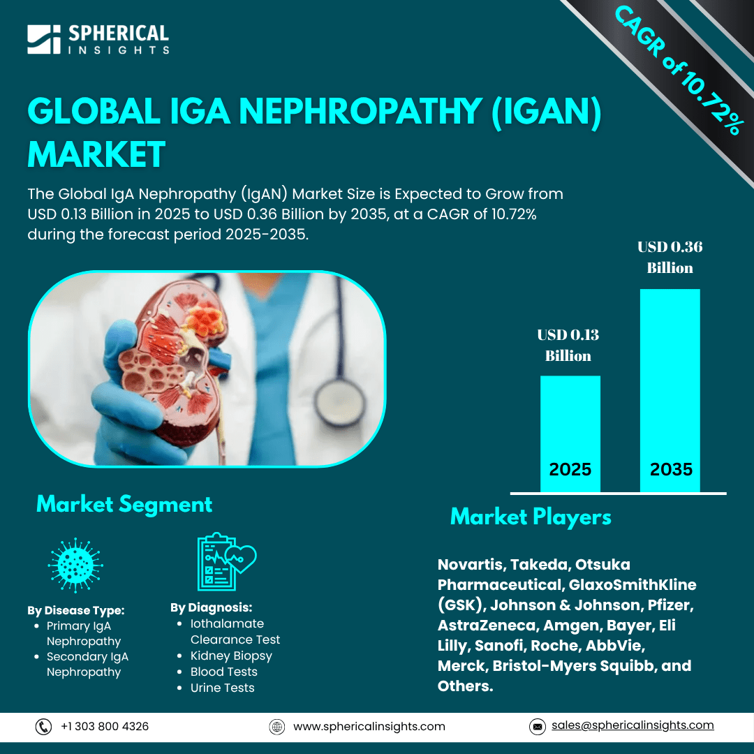 Global IgA Nephropathy (IgAN) Market Size Exceed To USD 0.36 Billion by 2035| CAGR of 10.72%: Market Growth Report