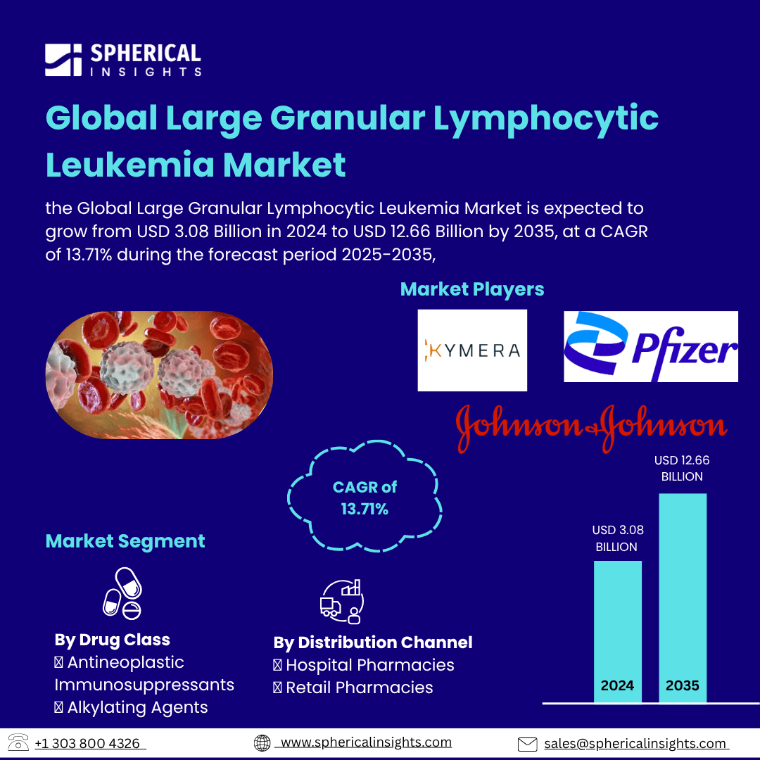 Global Large Granular Lymphocytic Leukemia Market Size To Exceed USD 12.66 Billion by 2035 | a CAGR of 13.71% : Market Statistics Report
