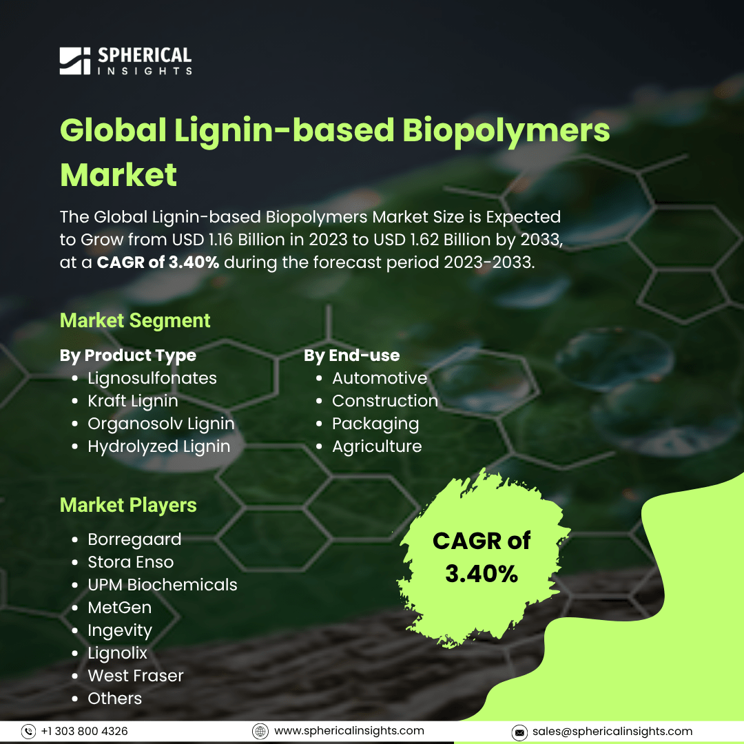 Global Lignin-based Biopolymers Market Size To Exceed USD 1.62 Billion by 2033: Industry Report          