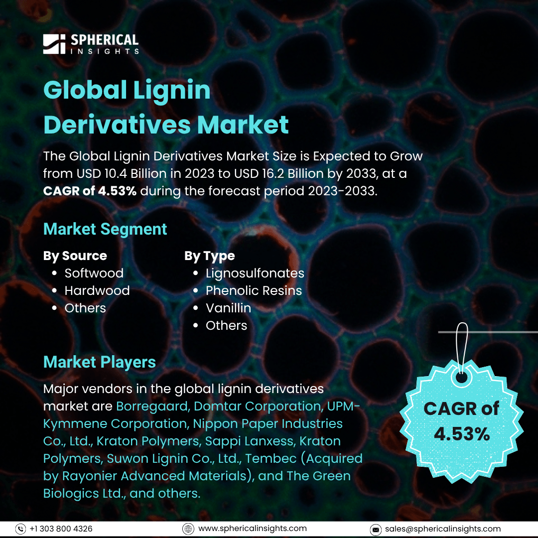 Global Lignin Derivatives Market Size To Exceed USD 16.2 Billion By 2033: Market Statistics Report
