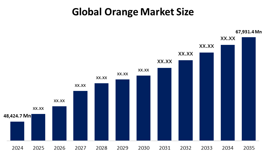 Orange Market