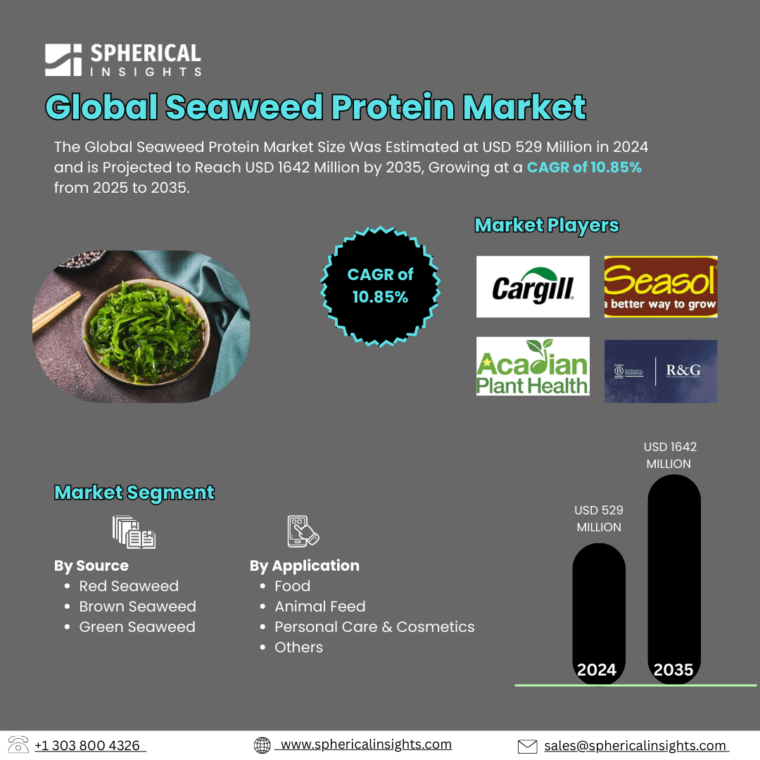 Global Seaweed Protein Market Size Exceed To USD 1642 Million by 2035| CAGR of 10.85% : Industry Report
