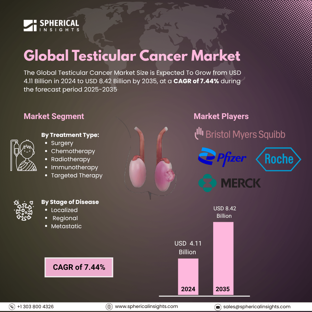 Global Testicular Cancer Market Size To Exceed USD 8.42 Billion by 2035| CAGR of 7.44%: Market Insight Report