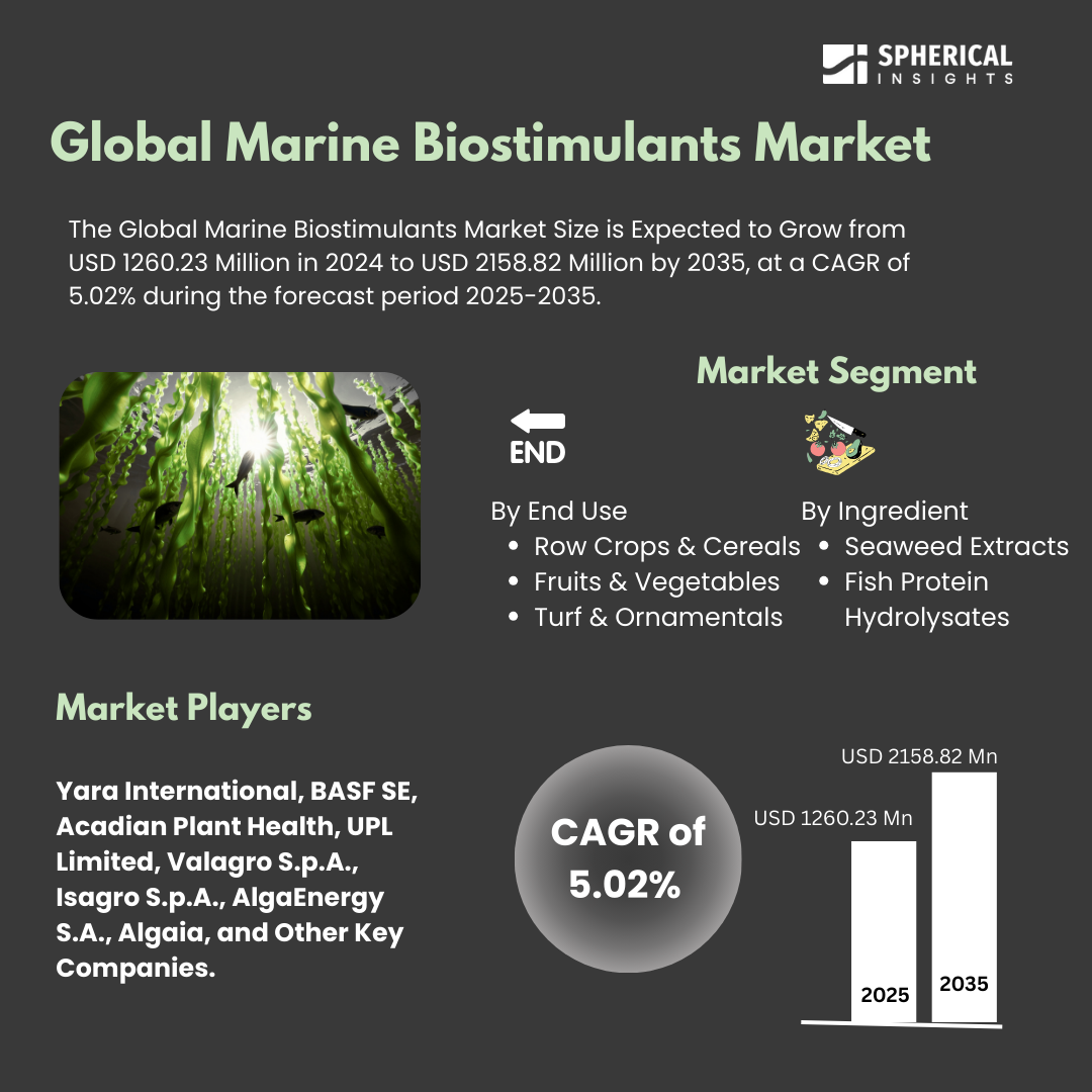 Global Marine Biostimulants Market Size To Exceed USD 2158.82 Million By 2035 | CAGR of 5.02% : Market Growth Report