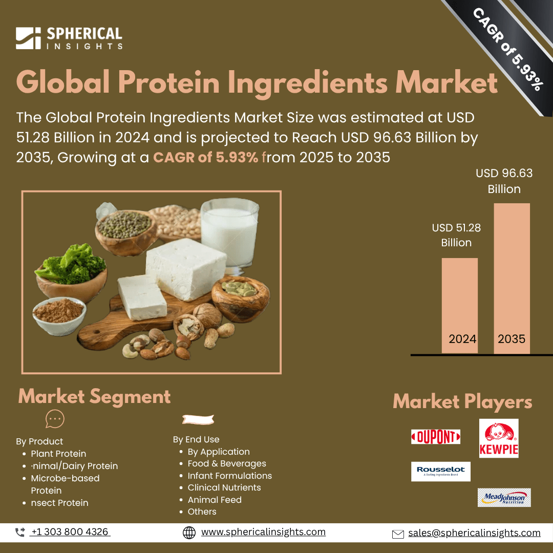 Global Protein Ingredients Market Size To Exceed USD 96.63 Billion by 2035 | CACAGR of 5.93% : Market Study Report
