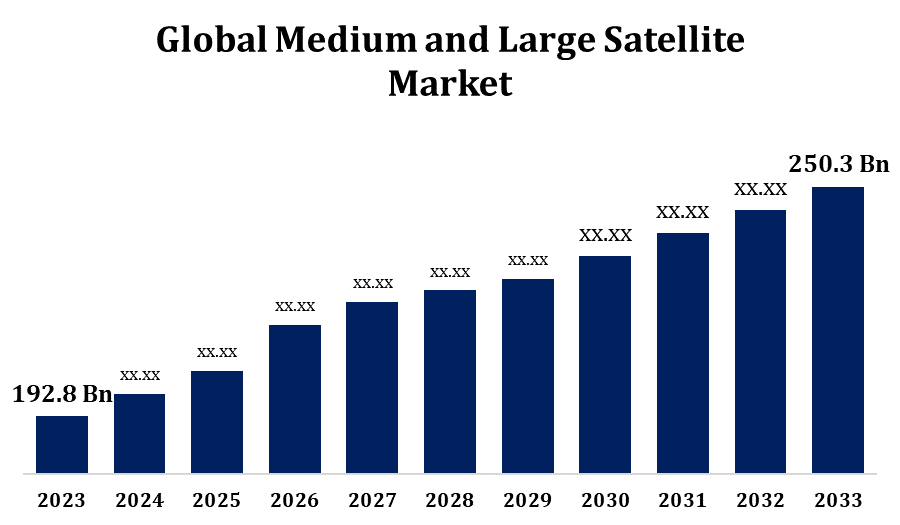 Global Medium and Large Satellite Market