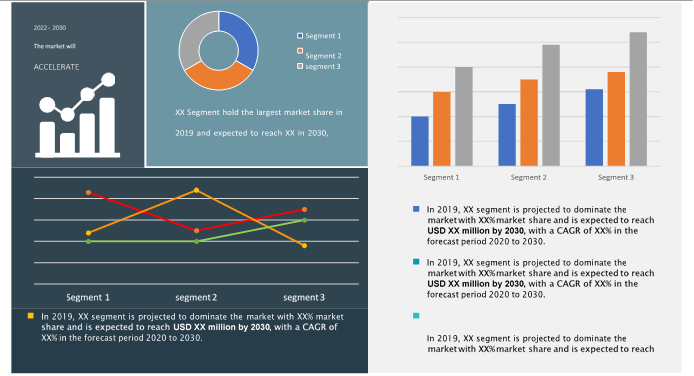 Global Dashboard Camera Market Share