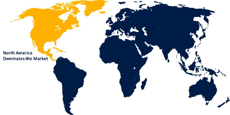 Vitamin B2 Market Size