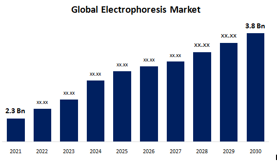 Electrophoresis  Market