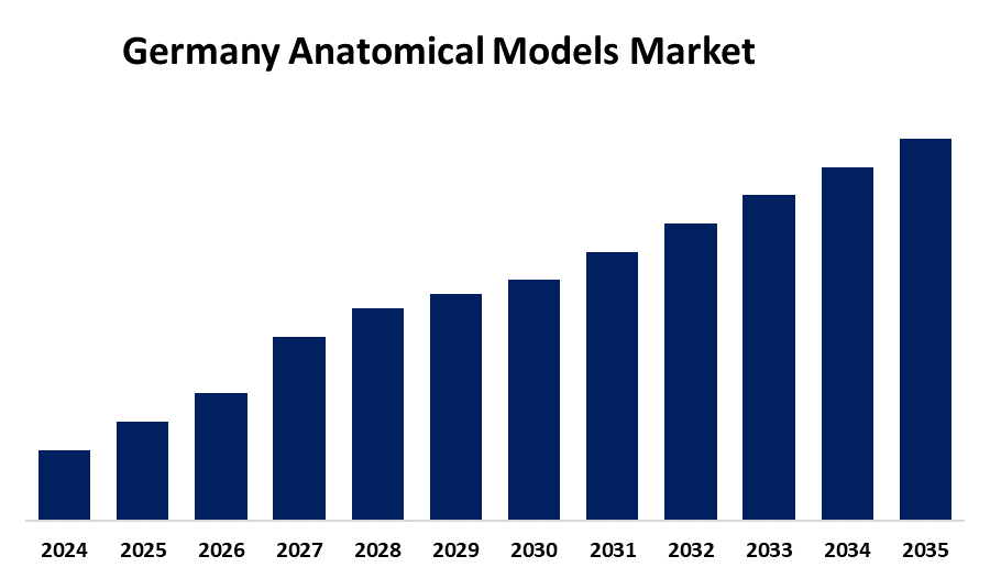 Germany Anatomical Models Market