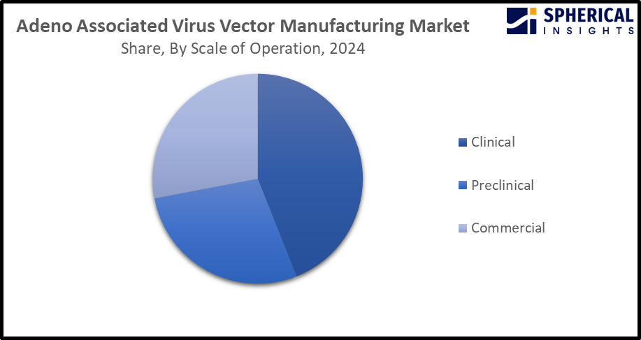 Global Adeno Associated Virus Vector Manufacturing Market