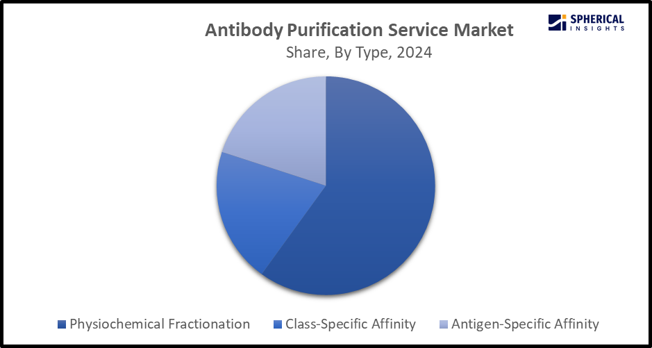 Global Antibody Purification Service Market Size 