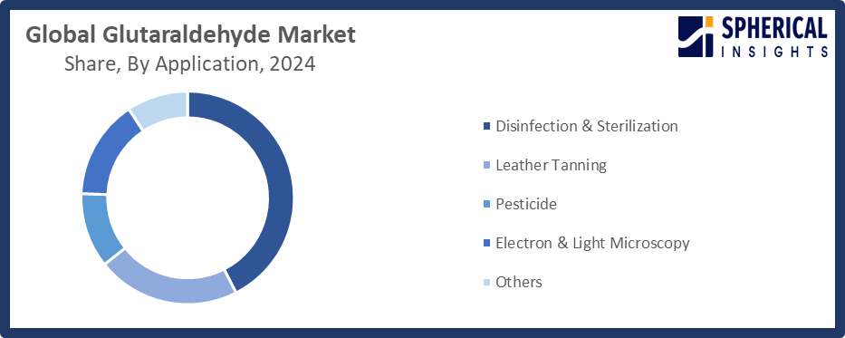 Global Glutaraldehyde Market 