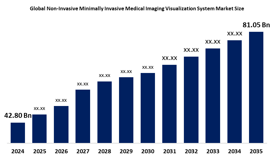 Global Non-Invasive Minimally Invasive Medical Imaging Visualization System Market