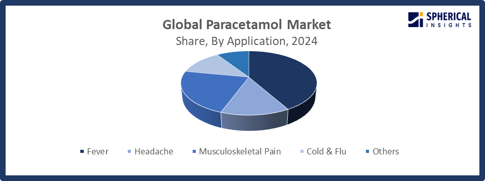 Global Paracetamol Market Size