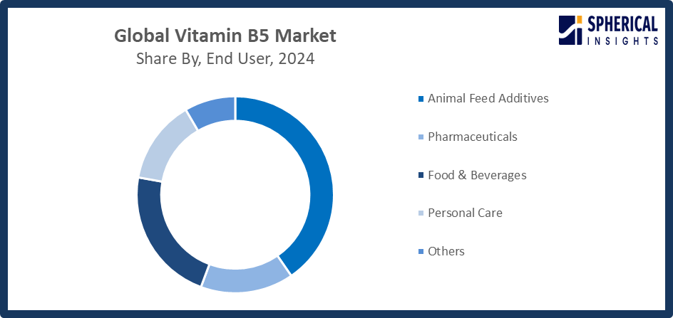 Global Vitamin B5 Market