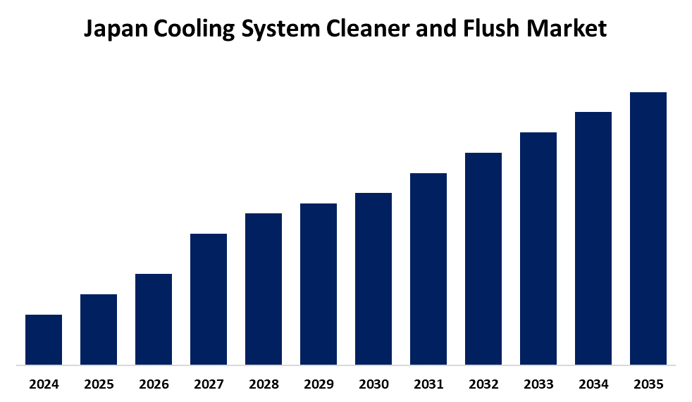 Japan Cooling System Cleaner and Flush Market 