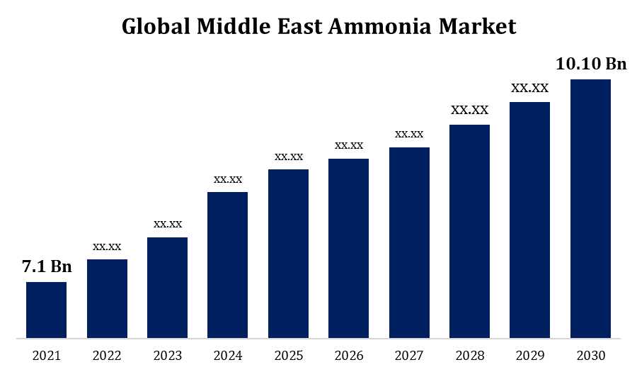 Middle East Ammonia Market 