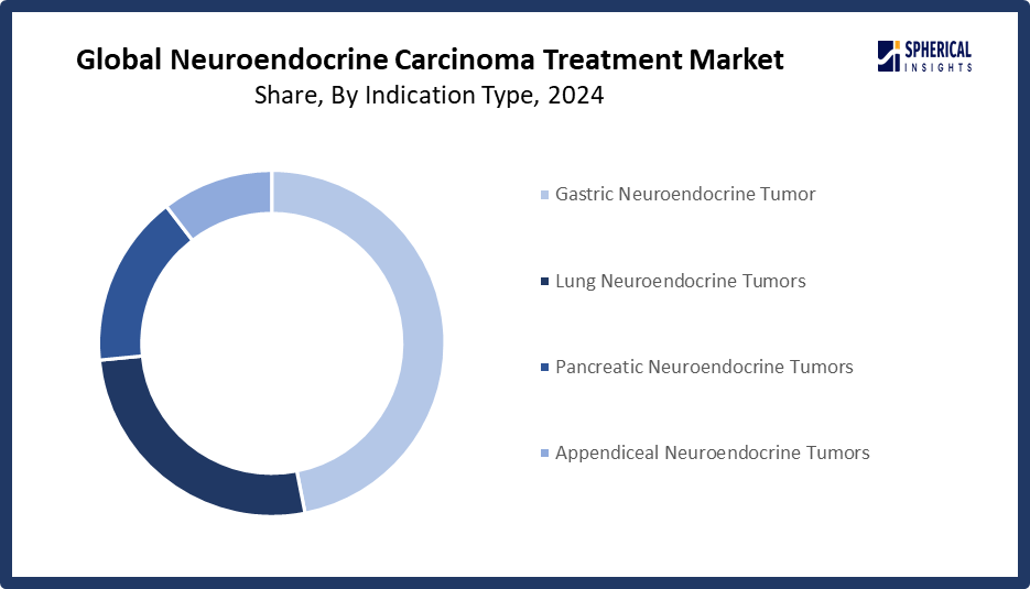 Neuroendocrine Carcinoma Treatment Market