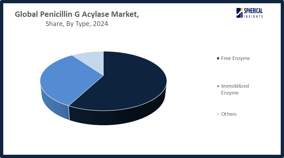 Global Penicillin G Acylase Market Size